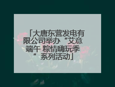 大唐东营发电有限公司举办“艾意端午 粽情嗨玩季”系列活动