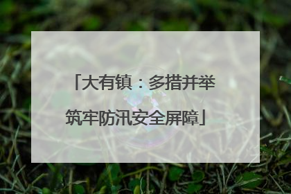 大有镇：多措并举筑牢防汛安全屏障