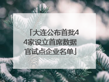 大连公布首批44家设立首席数据官试点企业名单