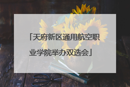 天府新区通用航空职业学院举办双选会
