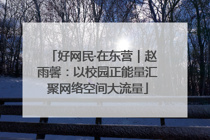 好网民·在东营｜赵雨馨：以校园正能量汇聚网络空间大流量
