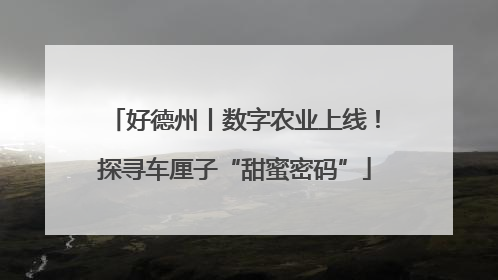 好德州丨数字农业上线！探寻车厘子“甜蜜密码”