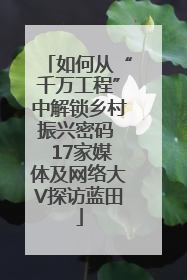 如何从“千万工程”中解锁乡村振兴密码  17家媒体及网络大V探访蓝田