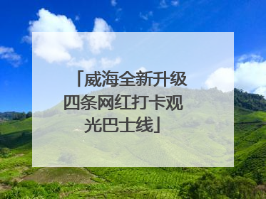 威海全新升级四条网红打卡观光巴士线