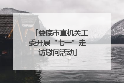 娄底市直机关工委开展“七一”走访慰问活动