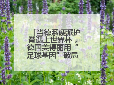 当德系硬派护脊遇上世界杯，德国美得丽用“足球基因”破局高端睡眠战场