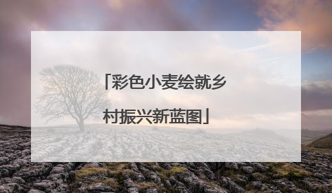 彩色小麦绘就乡村振兴新蓝图