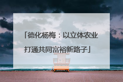 德化杨梅：以立体农业打通共同富裕新路子