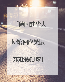 德国驻华大使馆回应樊振东赴德打球