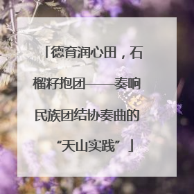 德育润心田，石榴籽抱团——奏响民族团结协奏曲的“天山实践”