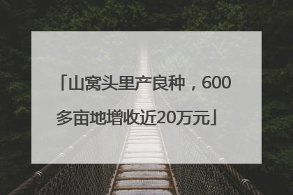 山窝头里产良种，600多亩地增收近20万元