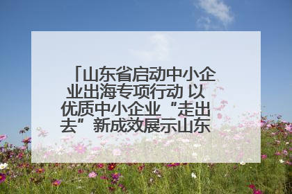 山东省启动中小企业出海专项行动 以优质中小企业“走出去”新成效展示山东产业发展新形象