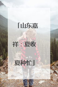 山东嘉祥：夏收夏种忙