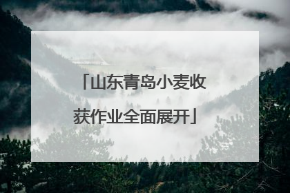 山东青岛小麦收获作业全面展开
