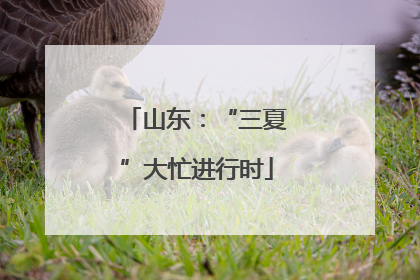 山东：“三夏”大忙进行时