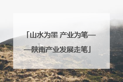山水为墨 产业为笔——陕南产业发展走笔
