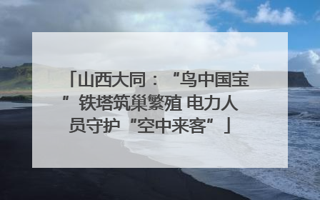 山西大同：“鸟中国宝”铁塔筑巢繁殖 电力人员守护“空中来客”