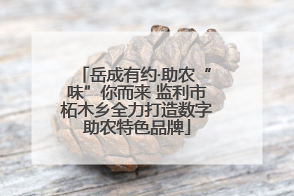 岳成有约·助农“味”你而来 监利市柘木乡全力打造数字助农特色品牌