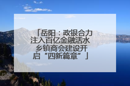 岳阳：政银合力注入百亿金融活水 乡镇商会建设开启“四新篇章”
