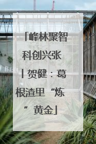 峰林聚智 科创兴张丨贺健：葛根渣里“炼”黄金