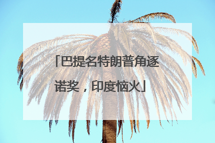 巴提名特朗普角逐诺奖，印度恼火
