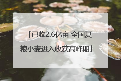 已收2.6亿亩 全国夏粮小麦进入收获高峰期