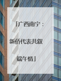 广西南宁：新侨代表共叙端午情