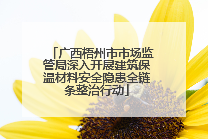 广西梧州市市场监管局深入开展建筑保温材料安全隐患全链条整治行动