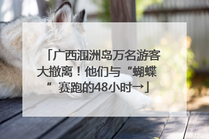 广西涠洲岛万名游客大撤离！他们与“蝴蝶”赛跑的48小时→