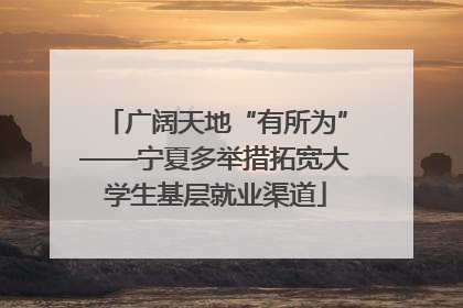 广阔天地“有所为”——宁夏多举措拓宽大学生基层就业渠道