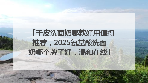 干皮洗面奶哪款好用值得推荐，2025氨基酸洗面奶哪个牌子好，温和在线