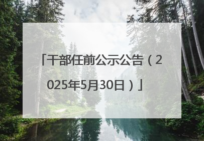干部任前公示公告（2025年5月30日）