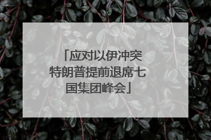 应对以伊冲突 特朗普提前退席七国集团峰会
