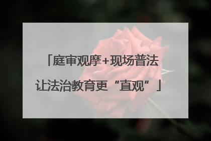 庭审观摩+现场普法 让法治教育更“直观”