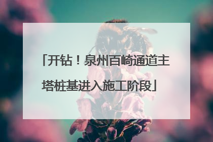 开钻！泉州百崎通道主塔桩基进入施工阶段