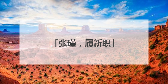 张瑾，履新职