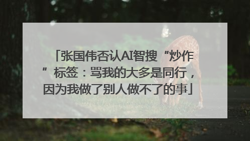 张国伟否认AI智搜“炒作”标签：骂我的大多是同行，因为我做了别人做不了的事