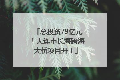 总投资79亿元！大连市长海跨海大桥项目开工