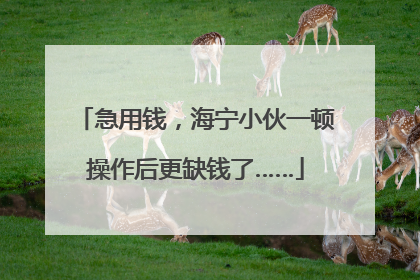 急用钱，海宁小伙一顿操作后更缺钱了……
