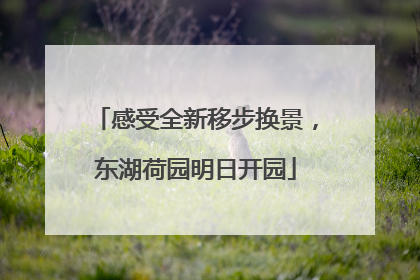 感受全新移步换景，东湖荷园明日开园