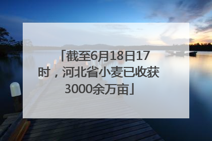 截至6月18日17时，河北省小麦已收获3000余万亩