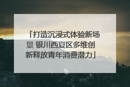 打造沉浸式体验新场景 银川西夏区多维创新释放青年消费潜力