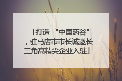 打造 “中国药谷”，驻马店市市长诚邀长三角高精尖企业入驻