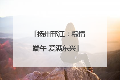 扬州邗江：粽情端午 爱满东兴