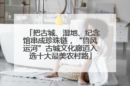 把古城、湿地、纪念馆串成珍珠链，“鲁风运河”古城文化廊道入选十大最美农村路