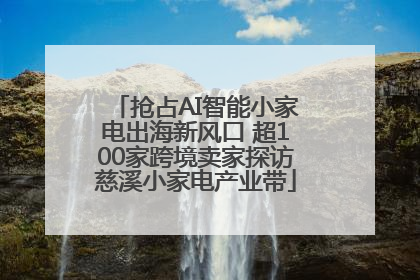 抢占AI智能小家电出海新风口 超100家跨境卖家探访慈溪小家电产业带