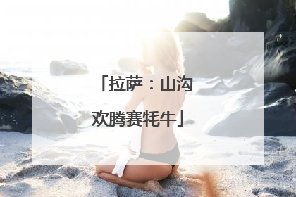 拉萨：山沟欢腾赛牦牛
