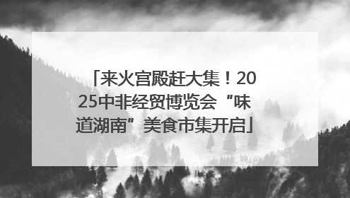 来火宫殿赶大集！2025中非经贸博览会“味道湖南”美食市集开启