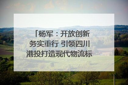 杨军：开放创新 务实重行 引领四川港投打造现代物流标杆｜致敬2024四川经济影响力人物