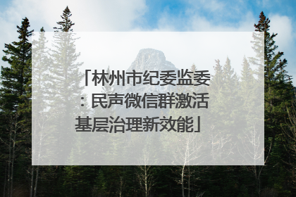 林州市纪委监委：民声微信群激活基层治理新效能